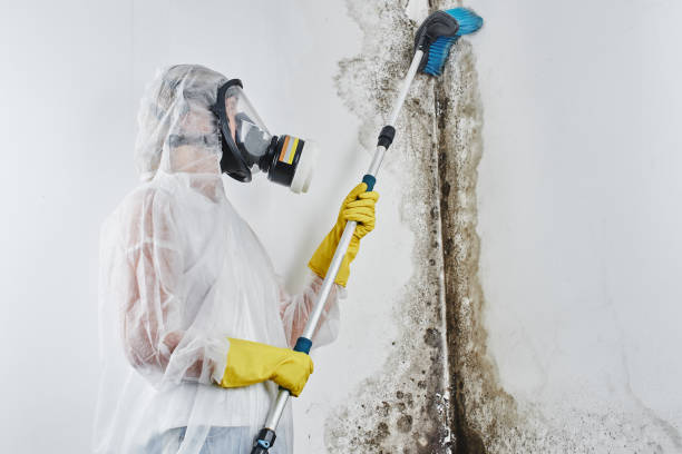 Best Mold Cleaning Services  in Eagle, WI