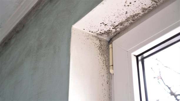 Water Damage Restoration in Eagle, WI