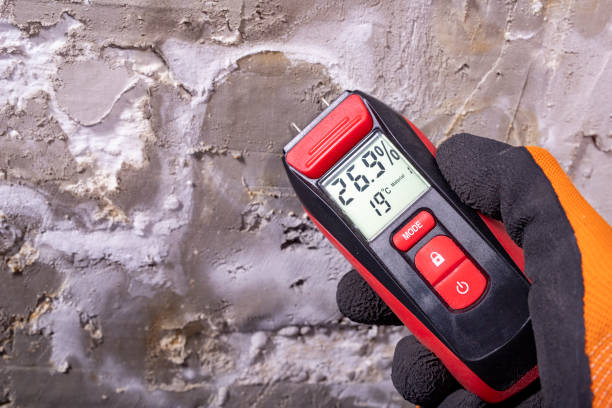 Best Emergency Mold Removal  in Eagle, WI