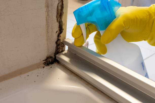 Best Mold Testing  in Eagle, WI