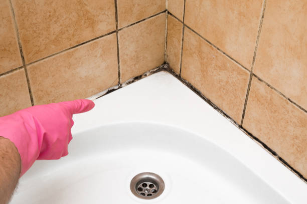 Best Mold Remediation Experts  in Eagle, WI